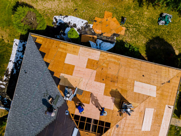 Best Metal Roofing Contractor  in Gibbon, NE