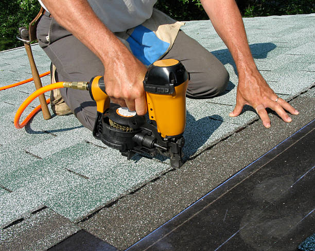 Best Roof Gutter Cleaning  in Gibbon, NE