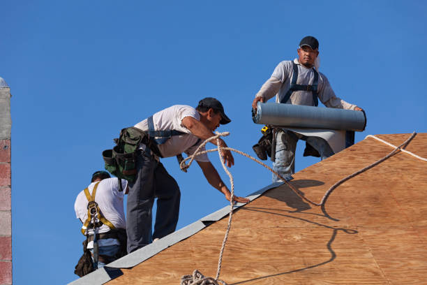 Best Flat Roof Repair Services  in Gibbon, NE